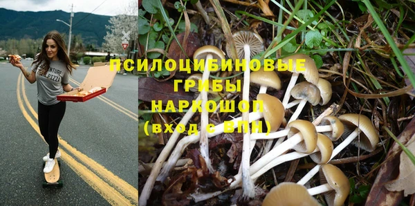 дмт Покров
