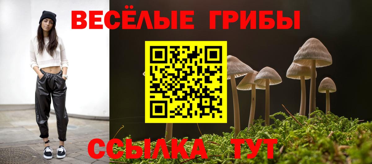 Галлюциногенные грибы ЛСД Торжок