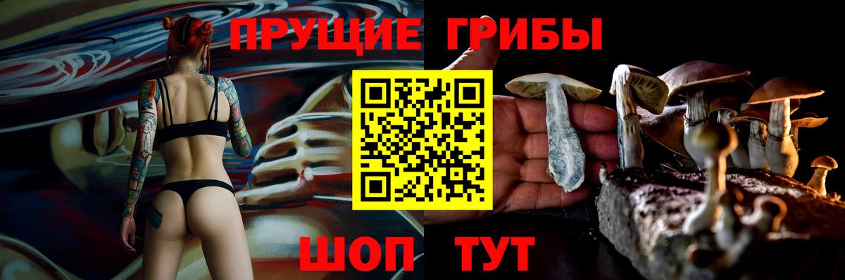 Псилоцибиновые грибы Cubensis  Галлюциногенные грибы Cubensis  наркошоп  Торжок  Вход с VPN 