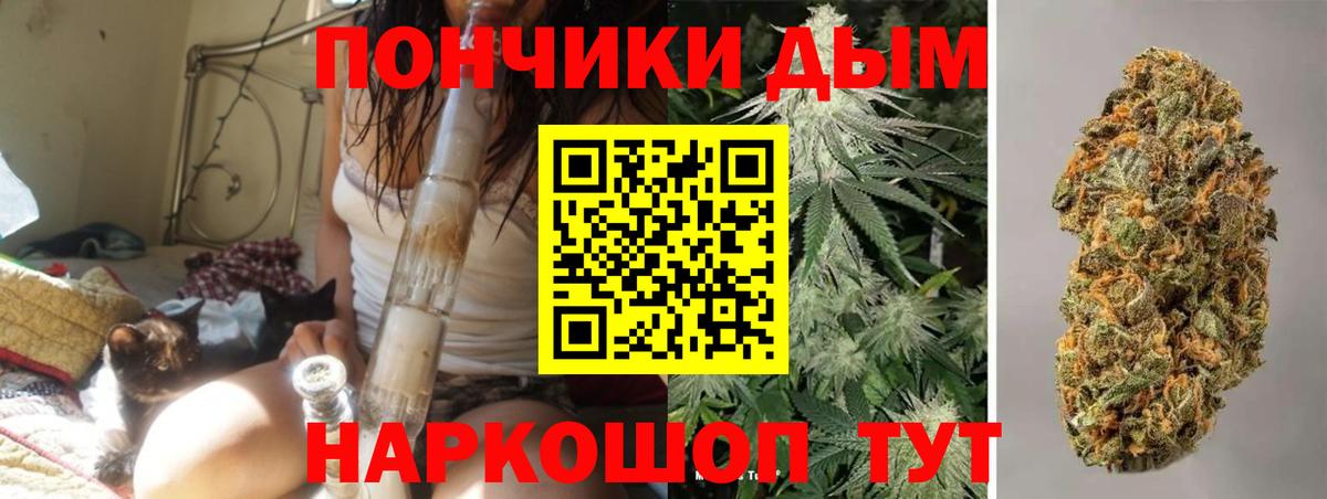 Канабис план  Вход с VPN  Бошки марихуана MAZAR  Бошки марихуана White Widow  Торжок 